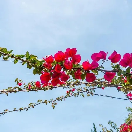 My Serenity Appartement