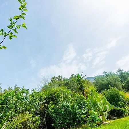 Appartement My Serenity