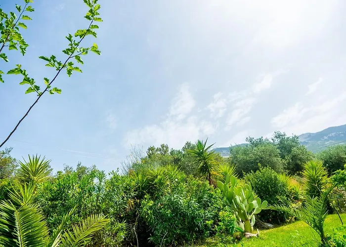 Lejlighed My Serenity